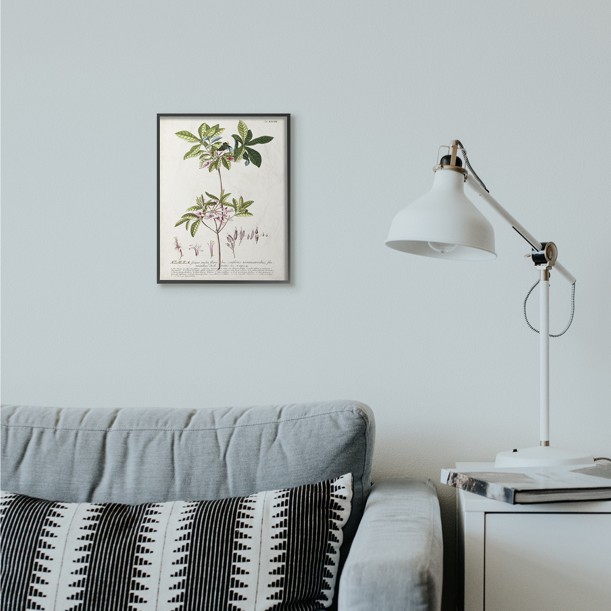 Stupell Industries Botanical Plant Illustration Pink Flowers Vintage Design Framed Wall Art by Unknown