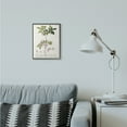 thumbnail image 2 of Stupell Industries Botanical Plant Illustration Pink Flowers Vintage Design Framed Wall Art by Unknown, 2 of 8