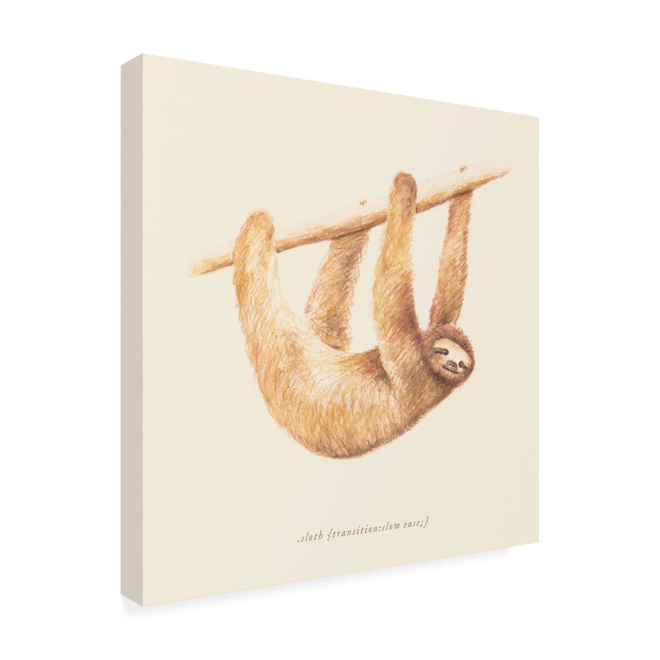 Trademark Fine Art Florent Bodart Css Animals Sloth Canvas Wall Art