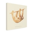 thumbnail image 3 of Trademark Fine Art Florent Bodart Css Animals Sloth Canvas Wall Art, 3 of 4