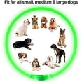 thumbnail image 3 of Collar de perro LED, luz de collar de perro con flash recargable por USB, collar de seguridad para mascotas hace que sus queridos perros sean vistos por la noche para pequeños y medianos, 3 of 5