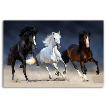 Studio 500 Museum Quality Wall Art - 3 Beautiful Horses 48x31x1.5" Framed Painting