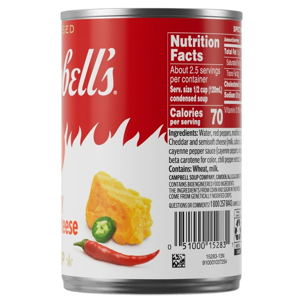 Spicy Nacho Soup 10.75 oz - Soup stock for food distributors