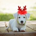 thumbnail image 4 of Festive Reindeer Star Hat Valentine Holiday Party For Cats And, 4 of 5