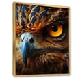 thumbnail image 2 of Designart "Animal Portrait Browm Owl I" Animals Floater Framed Canvas Print, 2 of 7
