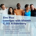 thumbnail image 5 of Superior Source Zinc Plus - Immune Support with Vitamin C, Elderberry & D3 - 90 Instant Dissolve Tablets, 5 of 8