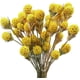 thumbnail image 1 of Ramo de flores amarillas falsas de flores Craspedia secas naturales 2 piezas brillar Electrónica, 1 of 5