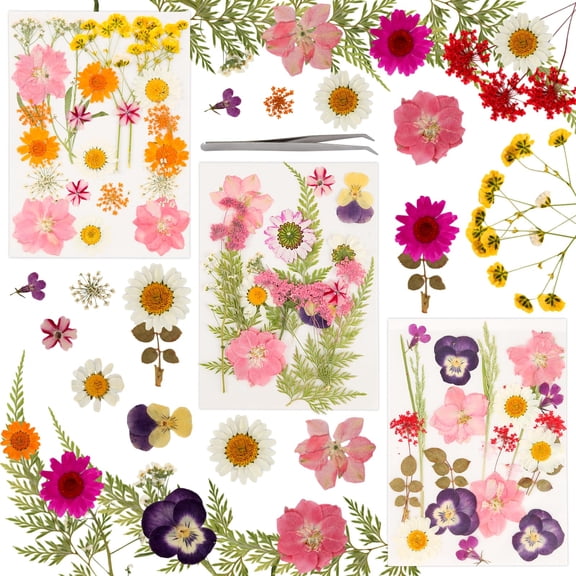 Pressed Dried Flowers, Natural Pressing Floral, DIY Dried Flowers, Mixed Dried Leaves Daisies for DIY Candles, Resin Jewellery, Indoor Outdoor Home