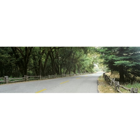 Road passing through a forest Henry Cowell Redwoods State Park California USA Stretched Canvas - Panoramic Images (27 x