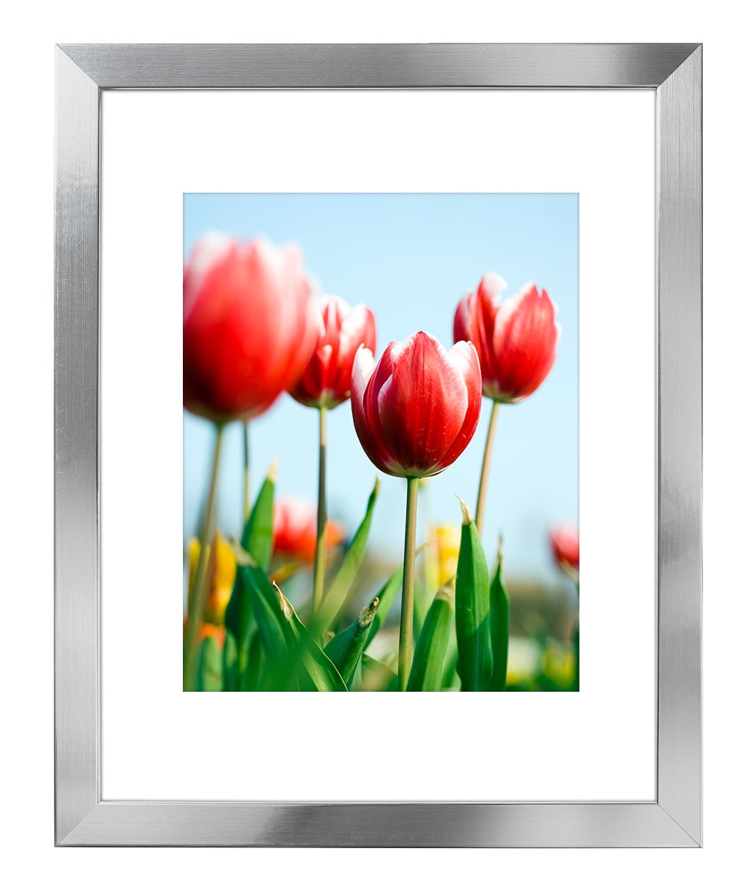 Display Pictures 8x10 with Mat or 11x14 Americanflat 11x14 Gold Picture Frame 