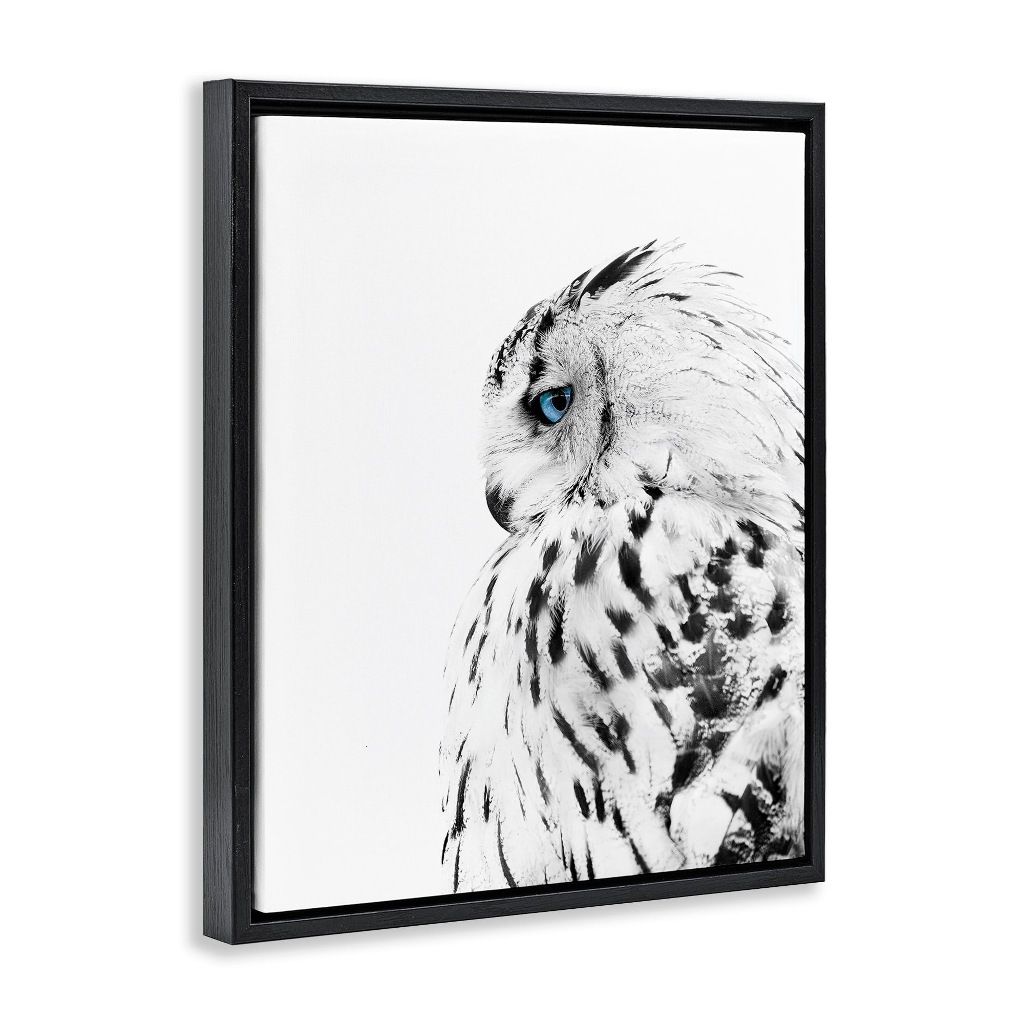 Stupell Industries Snow Owl White Feathers Peering Blue Eyes Jet Black Framed Floating Canvas Wall Art, 24x30, by Design Fabrikken