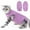 Purple, variant on Cat Recovery Suit for Abdominal Wounds or Skin Diseases, Cat Onesie for Cats After Surgery Female Kitten Recovery Suit, Breathable E-Collar Alternative for Cats After Spay Anti Licking Wounds