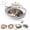 Gray / With Cushion, variant on Interactive Cat Bed Basket Handwoven Cotton Rope Cat Basket with Toy Ball, Foldable Scratchable Instinct Basket for Cats & Kittens Stimuli Cat Basket Nest