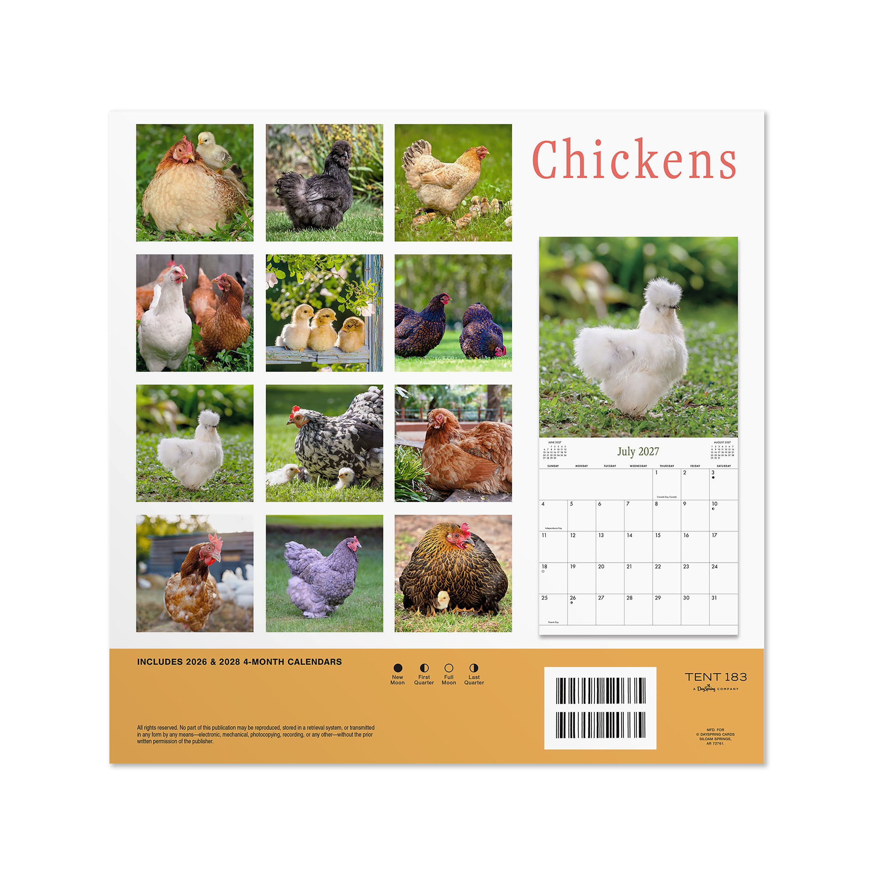 2027 Chickens Wall Calendar 12x12 January-December Gridded