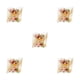 thumbnail image 2 of Advancent 100 Uds. De palillos desechables para pinchos, surtido de frutas, bambú, aperitivos, cócteles, postres, ensaladas, palillos, Type2 NO2, 2 of 6