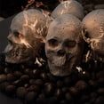 thumbnail image 2 of Hollow Ceramic Fireproof Skull, Fire Pits and Fireplaces, Gray, 1 Pack, 2 of 5