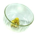 thumbnail image 1 of Roue de Course Silencieuse pour Petit Animal en Plastique, 1 of 10