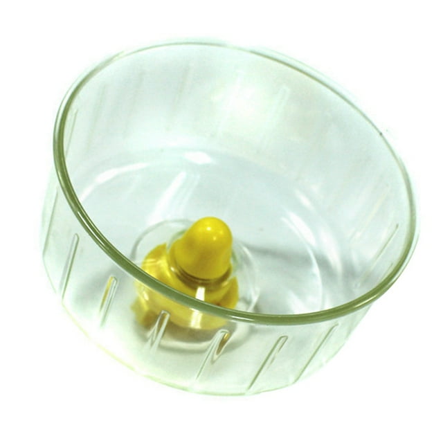 Roue de Course Silencieuse pour Petit Animal en Plastique