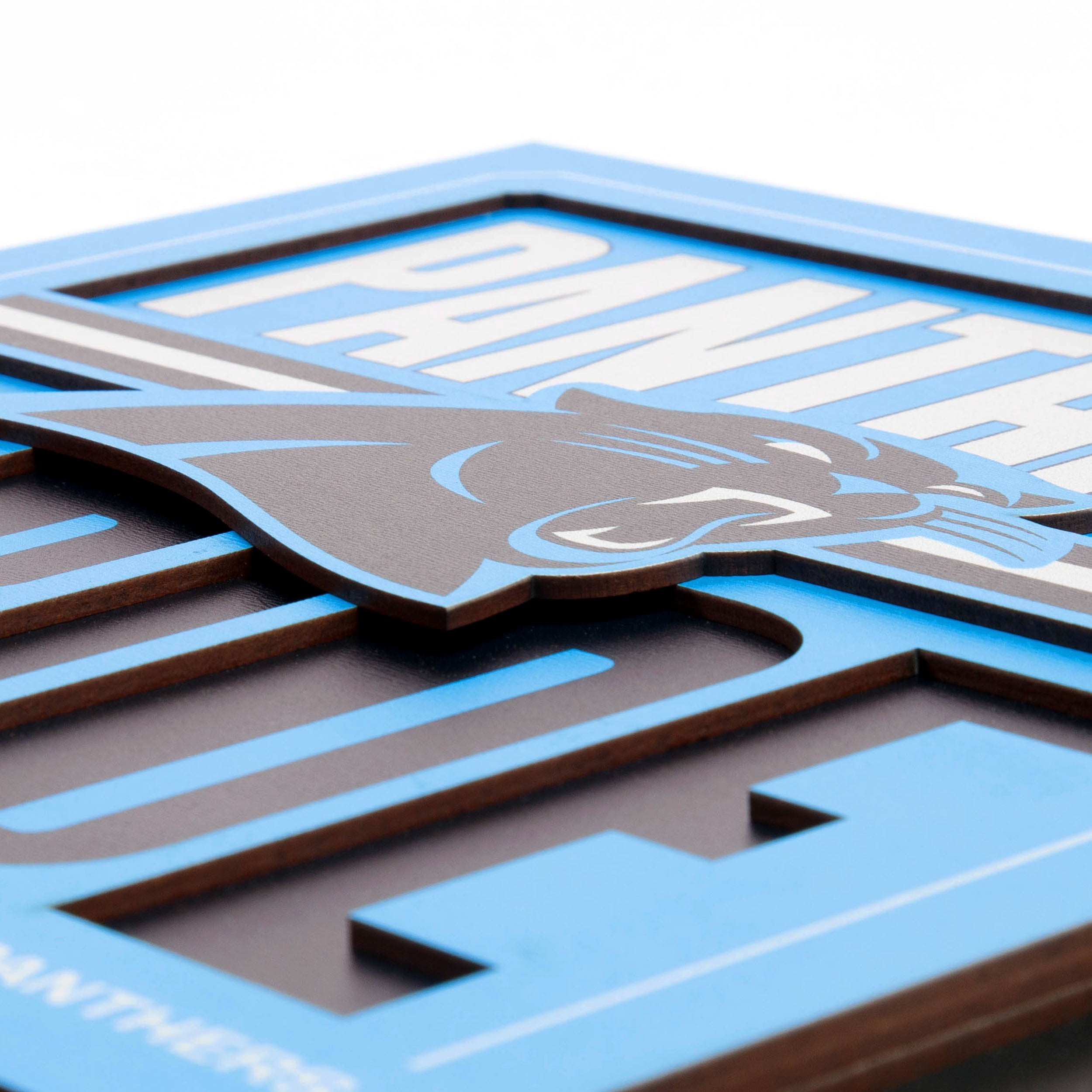 IDNA Carolina Panthers 12" x 12" Slogan Series 3D Wall Art