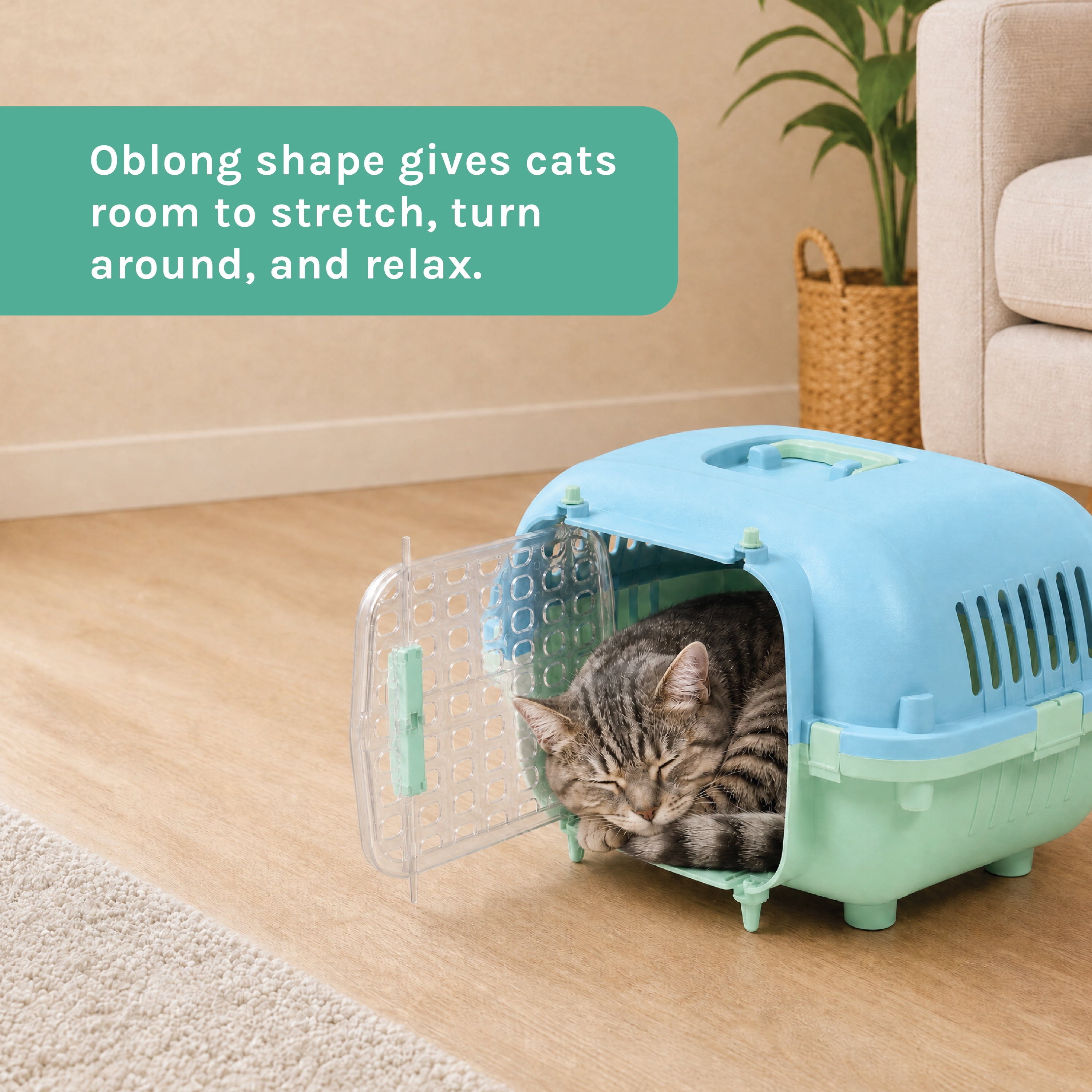 Kitty City 21" Oblong Durable Hard Sided Plastic Pet Kennel with Top Handle, Green, 20 lb Limit