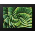 thumbnail image 2 of Braun Studio 24x18 Black Modern Framed Museum Art Print Titled - Vert de cactus, 2 of 5