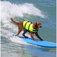 thumbnail image 3 of Nuevo chaleco salvavidas para perros Ripstop de estilo deportivo con flotabilidad superior y mango de rescate, 3 of 5