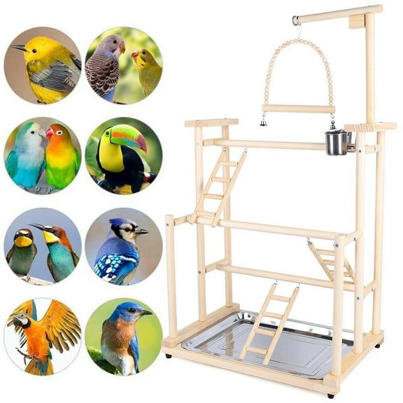 Natural Wood Pet Parrot Playstand Wood Perch Gym Play Parrots Bird Playground Bird Play Stand