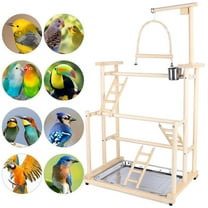 Natural Wood Pet Parrot Playstand Wood Perch Gym Play Parrots Bird Playground Bird Play Stand