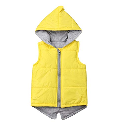 BULINGNA Kids Toddler Baby Girl Boy Dinosaur Vest Hoodie Sleeveless Waistcoat Warm Jacket Outwear with Zipper