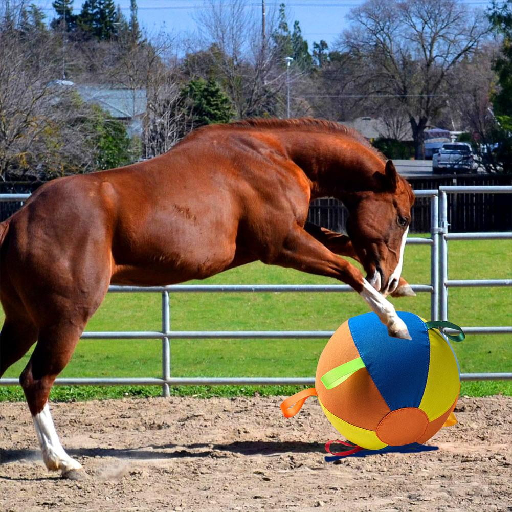 Dog Toy Ball with Straps, 9.84'' High-Bounce Fetch Ball for Small Medium Large Dogs, Interactive Pet Play Toy for Indoor Outdoor Training