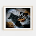 thumbnail image 2 of Soren Inyo's Shadow - Bishop California Photography Dog Animal Wildlife Snow Winter Nature Silhouette Unframed Wall Art Print 20 x 24 inches, 2 of 6