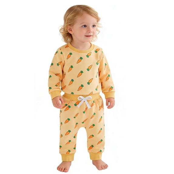 Toddler Girls Easter Pajamas Crewneck Long Sleeve Top Pants Easter Bunny Girls Clothes Size 2-3 Years