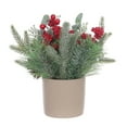 thumbnail image 5 of HOLIDAY TIME PL Christmas 12 in Cream Cement POT Arrangement, 5 of 5