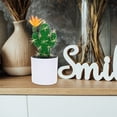 thumbnail image 3 of 3 Pcs Home Decor Plant Fake Potted Cactus Succulent Bouquet Arrangement Cactus Ornament Artificial Cactus Decorate Plastic Office, 3 of 6