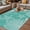DarkTurquoise, variant on Sage Green Coastal Outdoor Rug for Patio/Deck/Porch, Non-Slip Large Area Rug 5 x 8 Ft, Starfish Coral Summer Beach Ocean Indoor Outdoor Rugs Washable Area Rugs, Reversible Camping Rug Carpet Runner