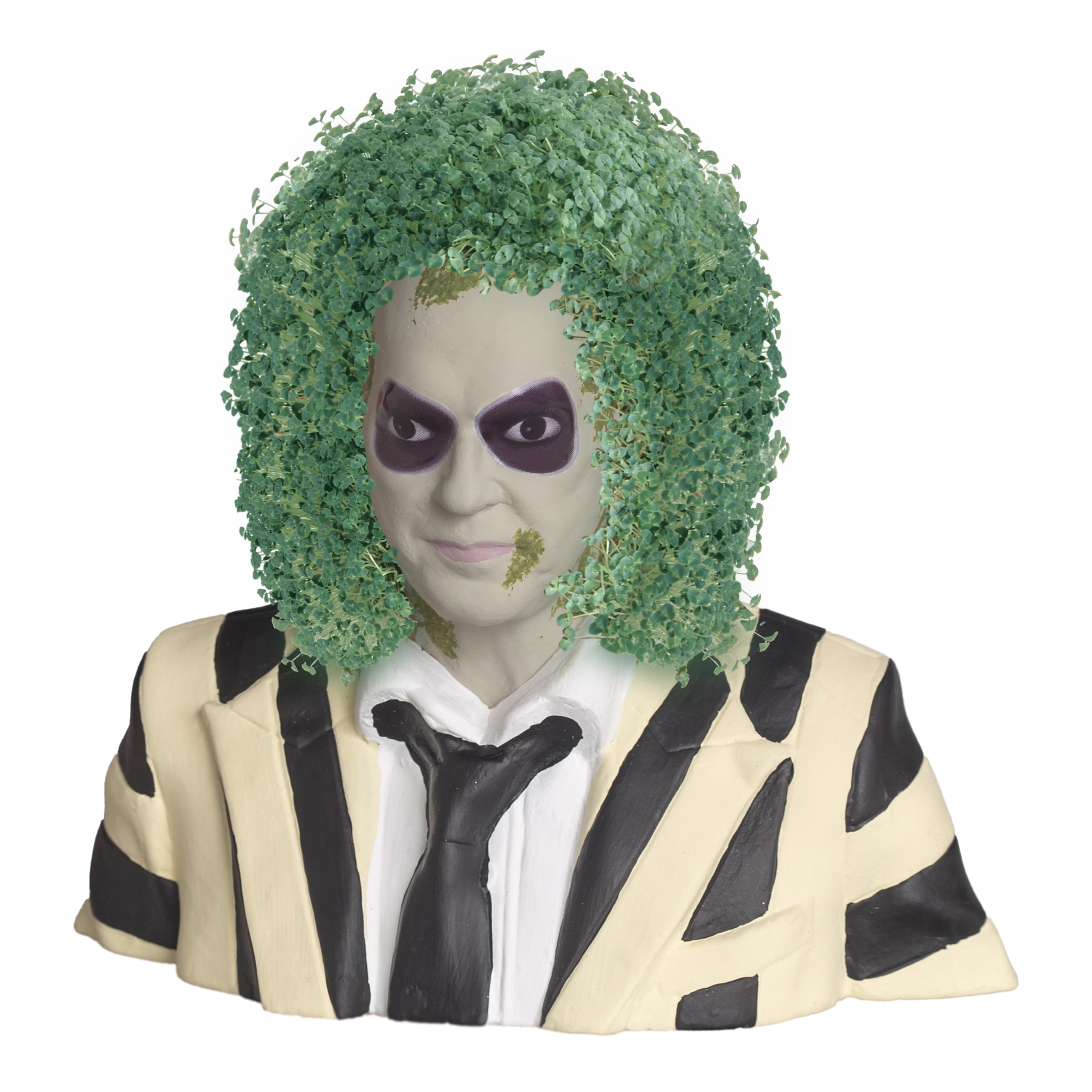 Beetlejuice Beetlejuice Chia Pet Handmade Decorative Planter by JEI