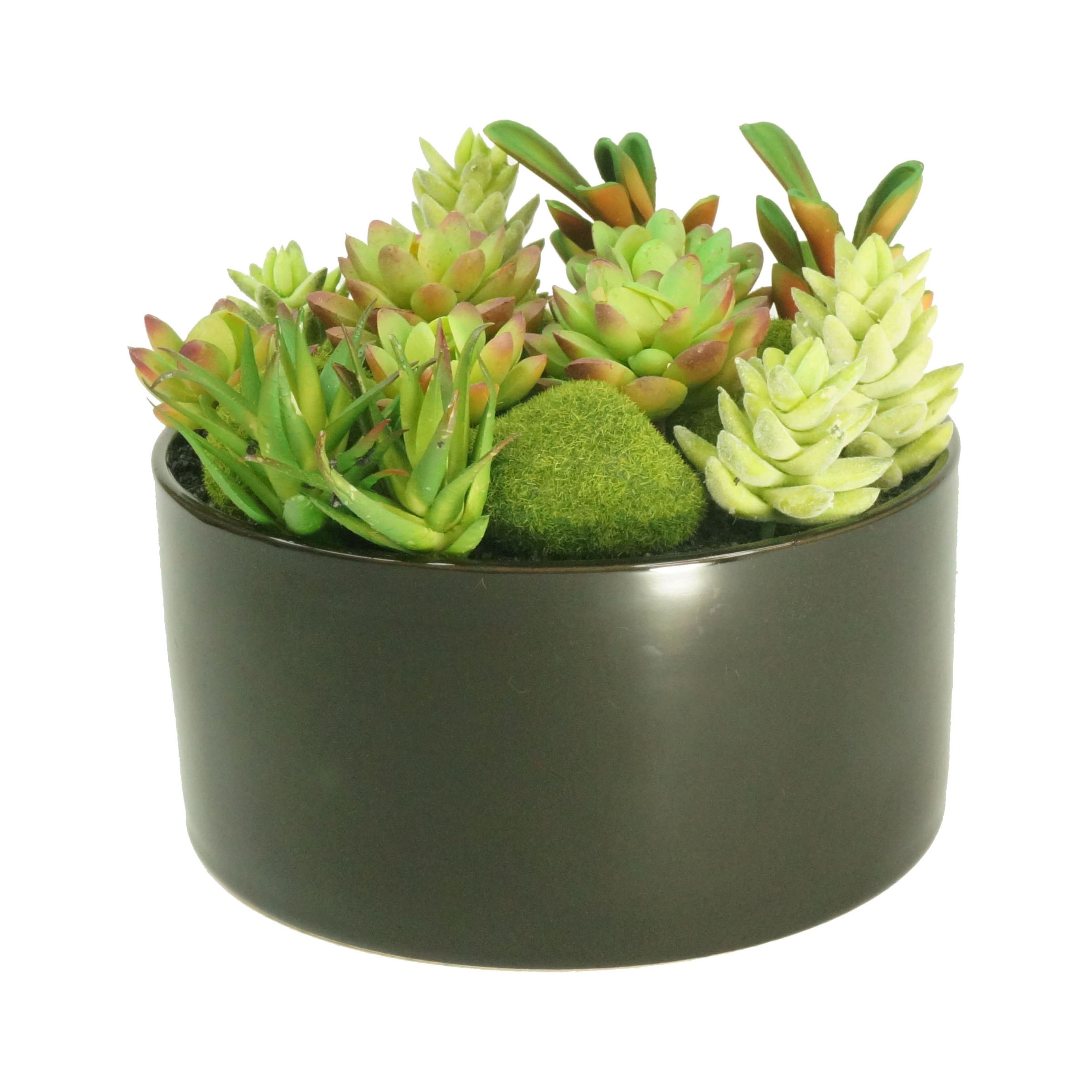 K-Cliffs Large Round Ceramic Minimalistic Faux Succulent Planter with Moss Cactus Aloe Vera | Easy Care  | Color; Black