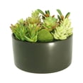 thumbnail image 3 of K-Cliffs Large Round Ceramic Minimalistic Faux Succulent Planter with Moss Cactus Aloe Vera | Easy Care  | Color; Black, 3 of 5