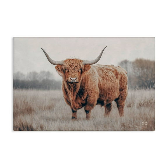 Stupell Industries Center Of Attention Cattle Canvas Wall Art design by Nathan Larson, 16 x 24