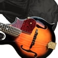 thumbnail image 3 of OUNONA Portable Mandolin Bag Case designed for Musicians 1 Set, 3 of 8