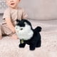 thumbnail image 5 of Juguete de peluche para que camina, simulación electrónica, mascota ligera y animada, juguete de peluche para fiesta, regalo de cumpleaños para negro, 5 of 8