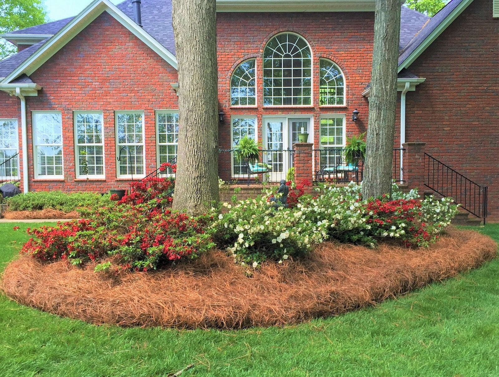 CleanStraw Longleaf Pine Straw Mulch 2.3 cu. Ft.