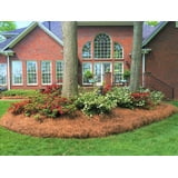 CleanStraw 100% Natural Longleaf Pine Straw Mulch, Lightweight Mulch ...