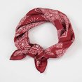 thumbnail image 1 of Bandana Mignon pour Femmes Fruits Imprimé Foulard Carrée Bandeau Accessoires d'Été, 1 of 4