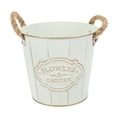 thumbnail image 1 of Miangastore Iron Flower Bucket Planter Iron Bucket Patios 1Pack 5.9X5.5X4.3In, 1 of 9