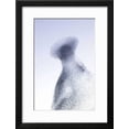 thumbnail image 2 of Starling Flock and Peregrine Falcon Immense Flock, Animals Framed Art Print Wall Art Sold by Art.Com, 2 of 6