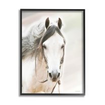 Stupell Industries White Horse Portrait Animals & Insects Photography Black Framed Art Print Wall Art, 11 x 14