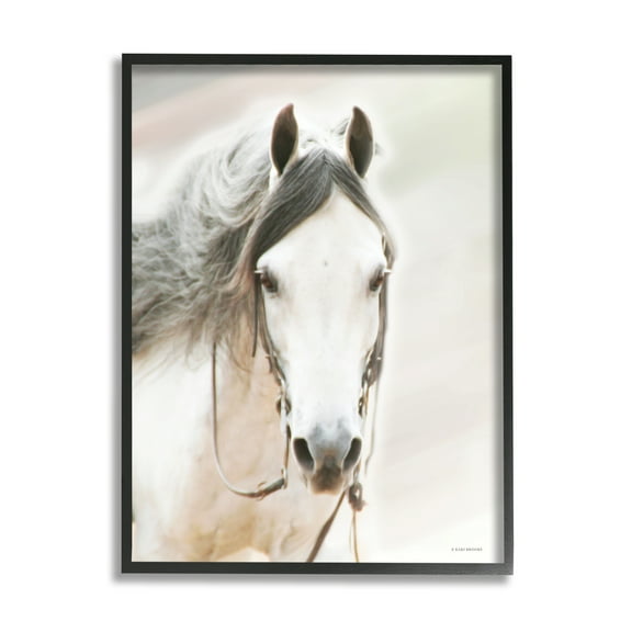 Stupell Industries White Horse Portrait Animals & Insects Photography Black Framed Art Print Wall Art, 11 x 14