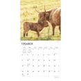 thumbnail image 3 of HIGHLAND COWS 2025 SQUARE WRAP, 3 of 9