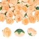 thumbnail image 1 of Uxcell Paquete de 30 Cabezas de Camelia Artificial, Cabeza de Camelia de Seda Falsa de 1.3 Pulgadas para Boda/Ramo/Pared de Flores [Champagne, 3.5cm], 1 of 7